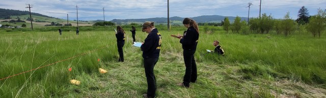 Students looking at site marked for environmental analysis.